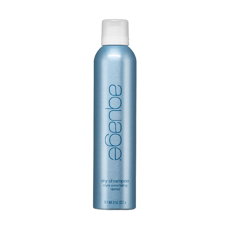 Dry Shampoo Style Extending Spray 8oz